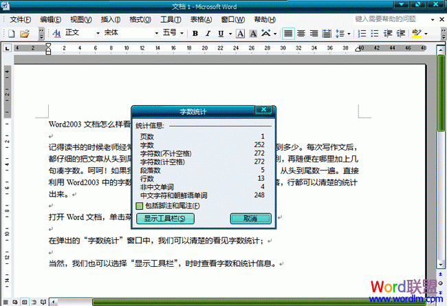 Word2003�ĵ���ô��������